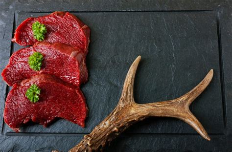 How To Tell If Deer Meat Is Spoiled 4 Ways To Know