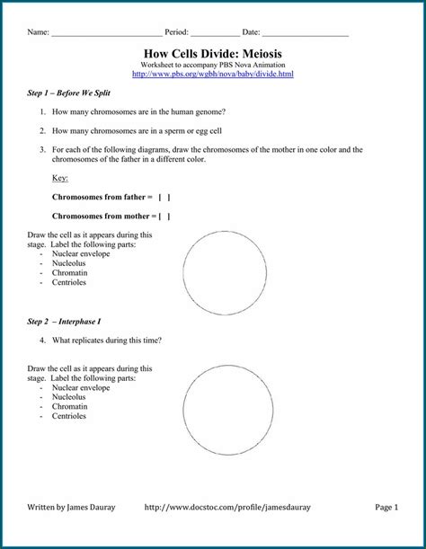 Cancer And The Cell Cycle Worksheet Printable Computer Tools