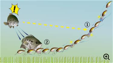 HARDCORE La Tour SERIES 株式会社デュエル