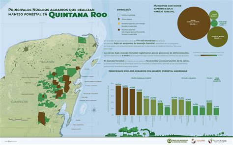 Infomapa De Manejo Forestal En Quintana Roo Idefor Cnf Gob Mx