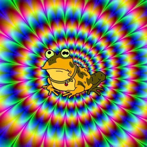 Hypnotoad Discography Discogs