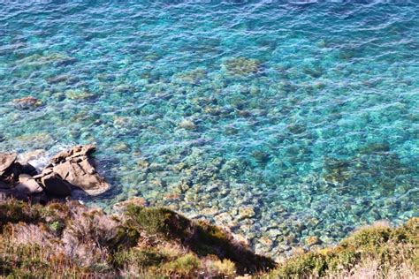 Ponza Monte Guardia Wandeling Met Gids Door De Natuur Met Een Lokale