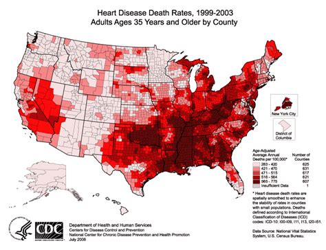 Heart Disease Concept Map