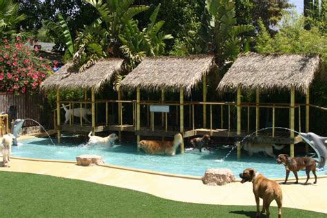 Top 10 Luxury Pet Hotels In The Usa Luxury Pet Boarding