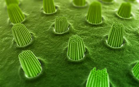 earcell announces revolutionary bioelectric  stem cells approach