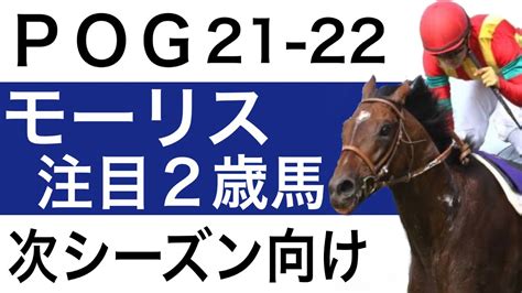 【pog21 22】モーリス産駒の注目2歳馬をピックアップしました【配合・ニックス】 Youtube