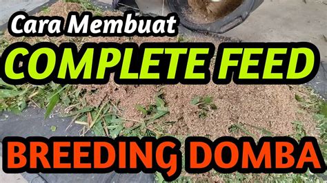 Cara Membuat Complete Feed Untuk Breeding Kambing Domba Domba Youtube