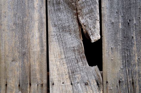 Free Images Tree Branch Wood Vintage Texture Plank Leaf Hole