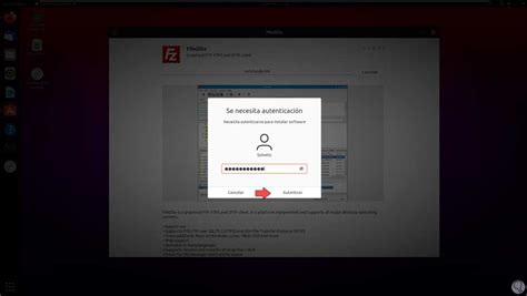 Instalar Filezilla En Ubuntu Cliente Solvetic