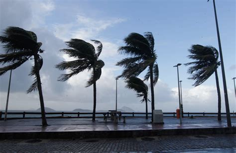 Ventania Provoca Queda De Rvores E Assusta Moradores Do Rio Rio De