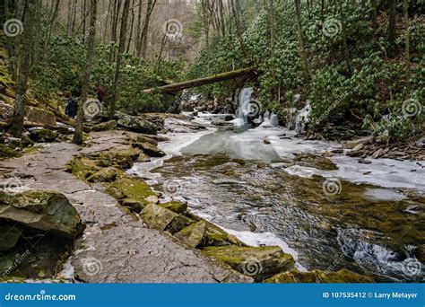 A Hiking Trail by Little Stony Creek Stock Photo - Image of covered ...