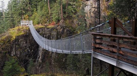 Suspension Bridge, Elk Falls BC | Traditional Iconoclast