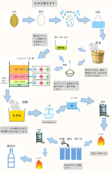 日本酒の作り方を世界一わかりやすく解説！簡単な図で全工程を紹介 美味しい日本酒