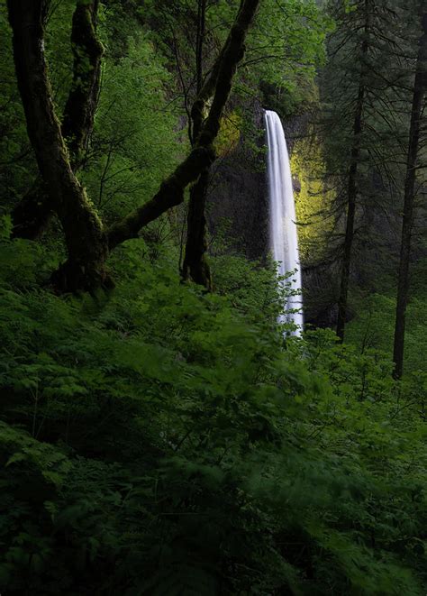 Mystical Waterfall 2 Photograph by Larry Marshall - Fine Art America