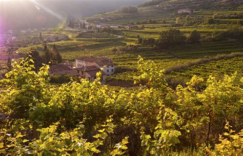 Valpolicella: The Best Italian Wine Region You've Never Heard Of ...