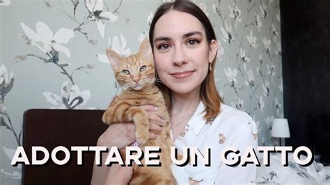 Cose Da Sapere Prima Di Adottare Un Gatto Actualizado Novembre 2024