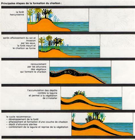 Les Tourbi Res Se Form Rent Le Sable Et La Boue Se M Lang Rent Et