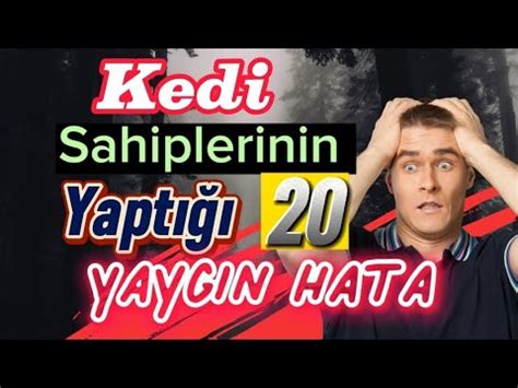 Kedi Sahipleri En Ok Hangi Hatalar Yap Yor Youtube