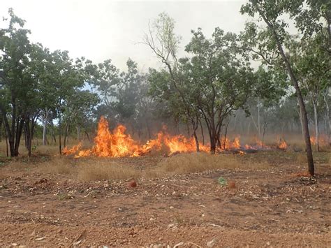 Alfa Nt Arnhem Land Fire Abatement Northern Territory