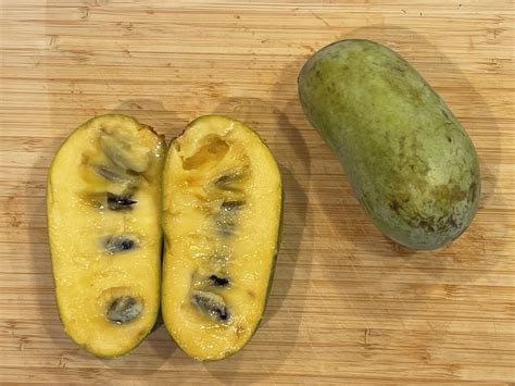 Recently Ted A Bounty Of Paw Paw Fruit The Largest Fruit Bearing