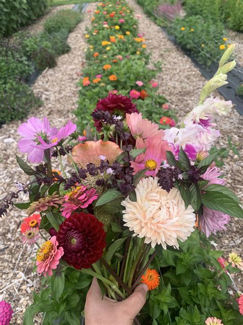 Arrowwood Farm and Events