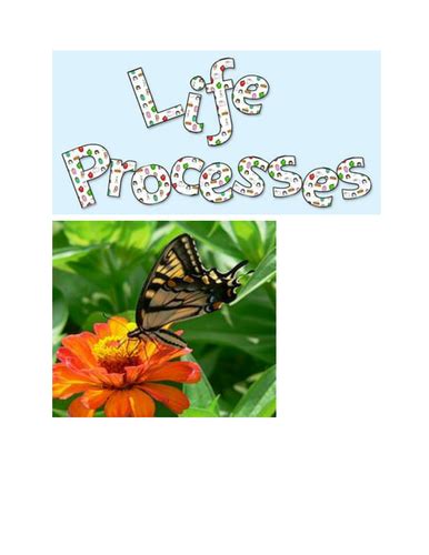 Life processes | Teaching Resources