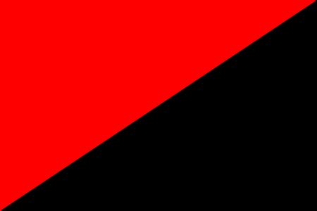 Anarchist flag