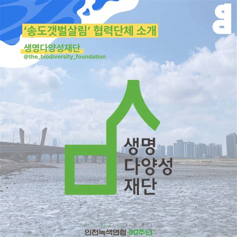 인천녹색연합 30주년 녹색시민 살림행동 “송도갯벌살림” 불법 칠게잡이 어구 수거 인천녹색연합