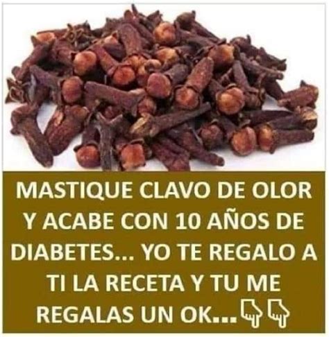 Empieza A Masticar Clavo De Olor Me Dijo Mi M Dico Natureview