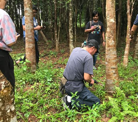 Agarwood Tour - Agarwood Malaysia