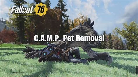 Fallout Camp Pet Removal Youtube