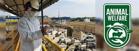 Unidade Da Minerva De Jos Bonif Cio Sp Habilitada A Exportar Carne