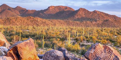 Saguaro National Mountain