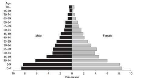 1: Nigeria's Population Pyramid in 2013. Source: Third National Youth... | Download Scientific ...