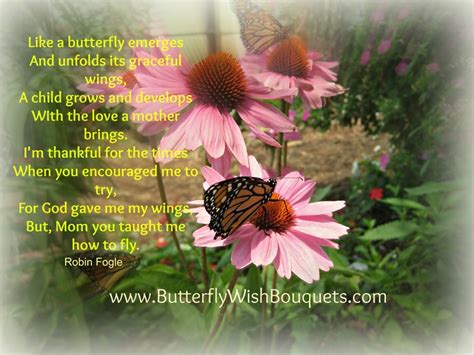 Mother S Day Butterfly Poem