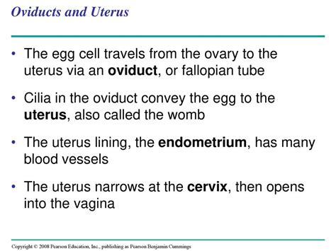 Overview Pairing Up For Sexual Reproduction Ppt Download