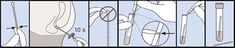 Molecular Testing Labs Three Site Collection Instructions