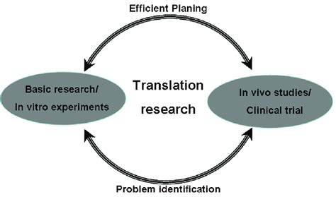 Translational Research Intends Both The Translation Of Basic Research