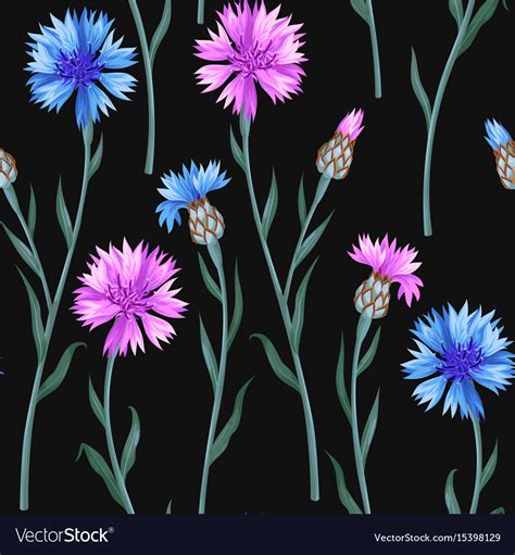 Seamless Pattern With Colorful Cornflowers Vector Image