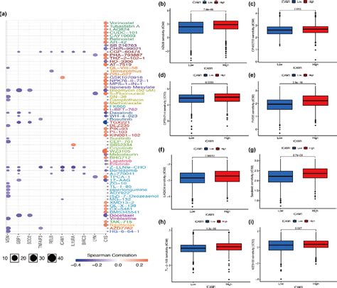 Figure From Role Of Icam In Triple Negative Breast Cancer