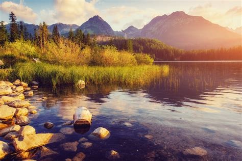 See Strbske Pleso In Der Hohen Tatra Berg Slowakei Europa Premium Foto