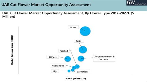 Uae Cut Flower Market 2022 2028 Size Industry