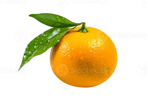 Fresh Single Orange Fruit Isolated On Transparent Background 27143688 Png