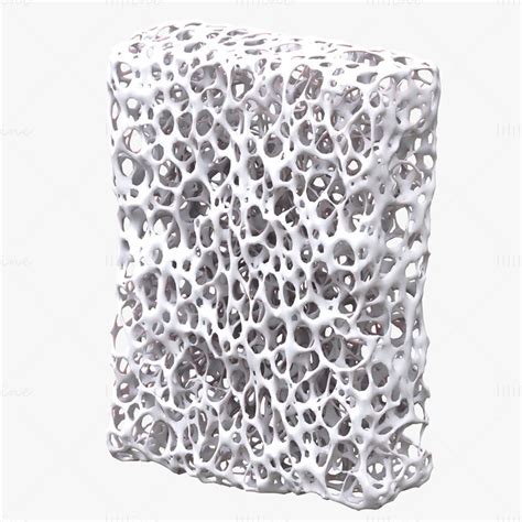 Bone Sponge Structure Bundle 3d Model