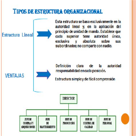 Tipos De Estructuras Organizacional Estructura Organizacional Estructura Organizativa