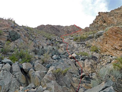 Cerro La Campana Ruta De Darwin Andeshandbook