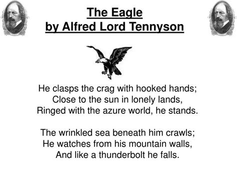 PPT - The Eagle by Alfred Lord Tennyson PowerPoint Presentation - ID:972764