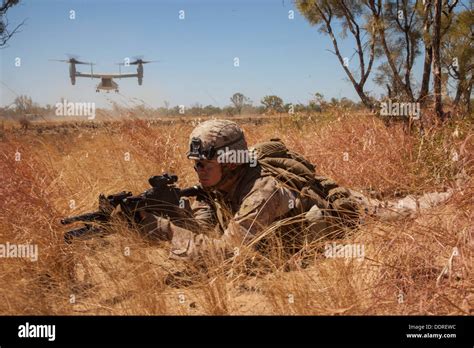 Lance Le Cpl John Pr T Un M Fusil Automatique D Infanterie Gunner