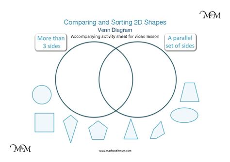 2d And 3d Shape Sorting