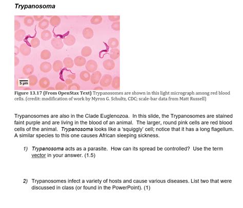 Solved Clade Sar Trichomonas Vaginalis Cdc Sater Healthier